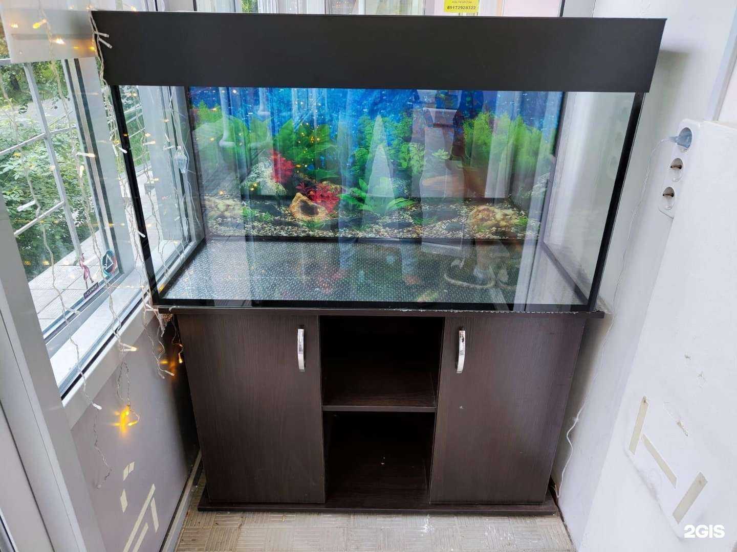 Отзывы на компанию Сытый кот в г. Казань c фото