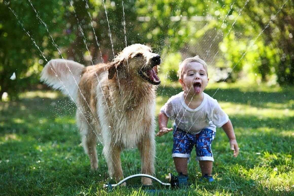 Отзывы на компанию Зооландия в Нижневартовске c фото