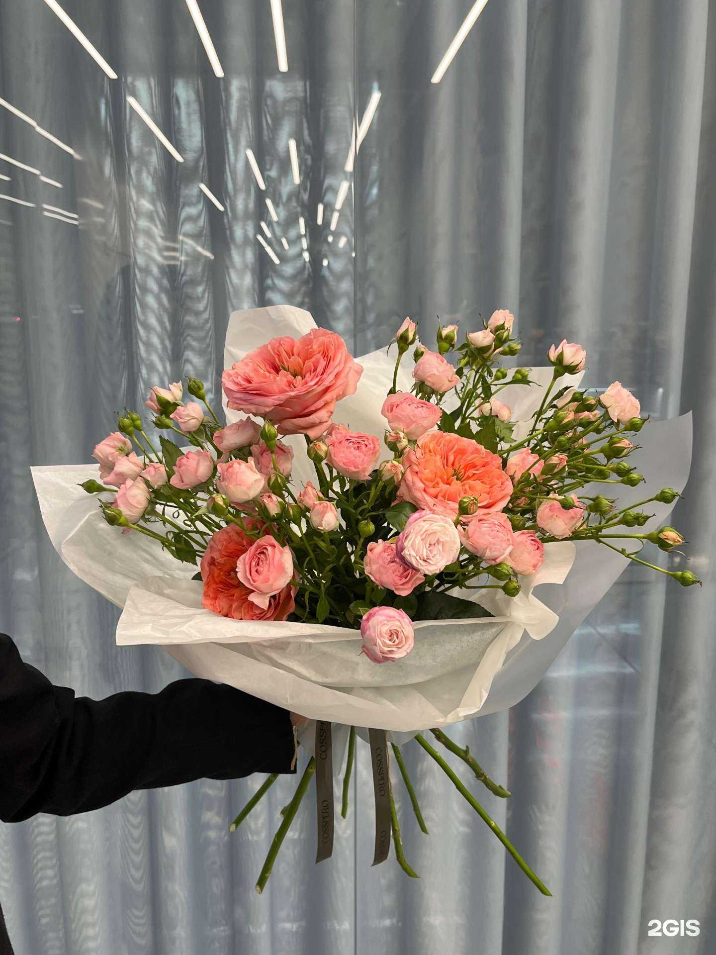 Отзывы на компанию Cosspero в г. Махачкала c фото