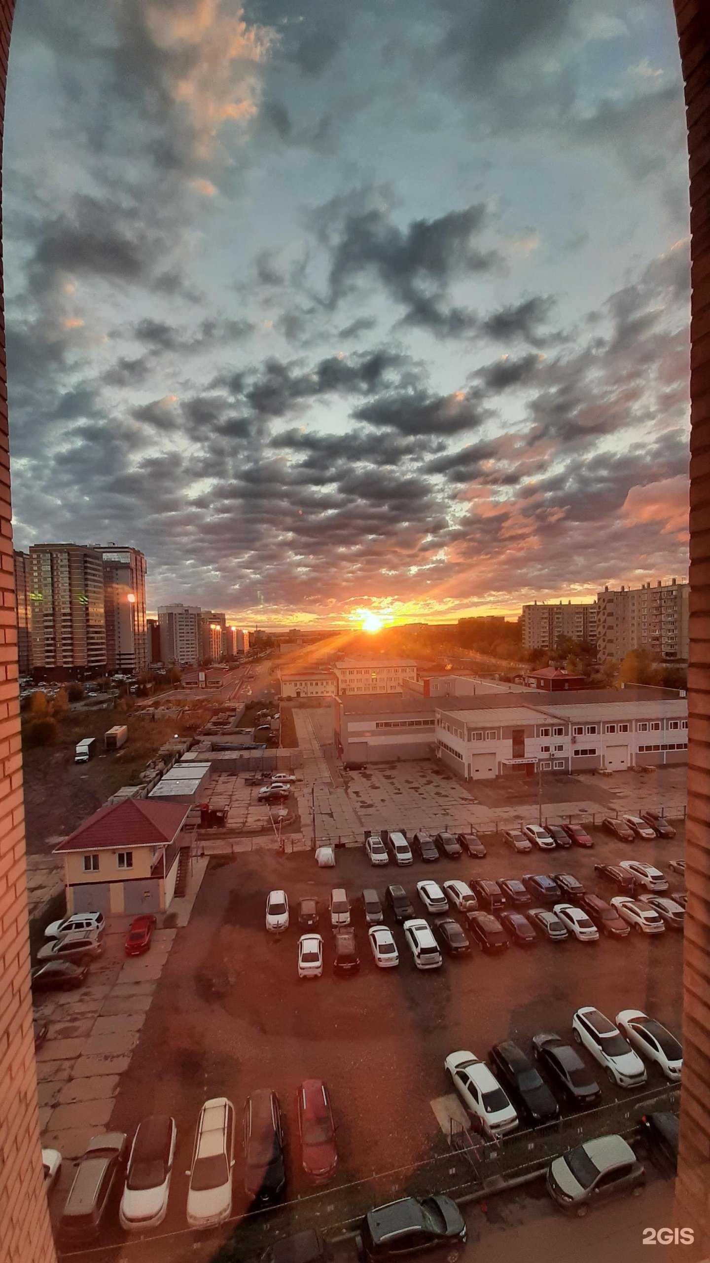 Отзывы на компанию ВетПомощь в Красноярске c фото - фотография 2 из 2