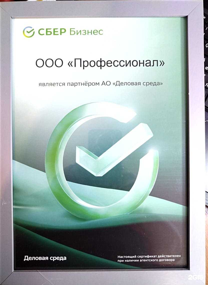 Отзывы на компанию Proffessional в г. Красноярск c фото