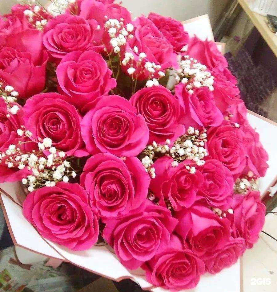 Отзывы на компанию Рай в Елабуге c фото