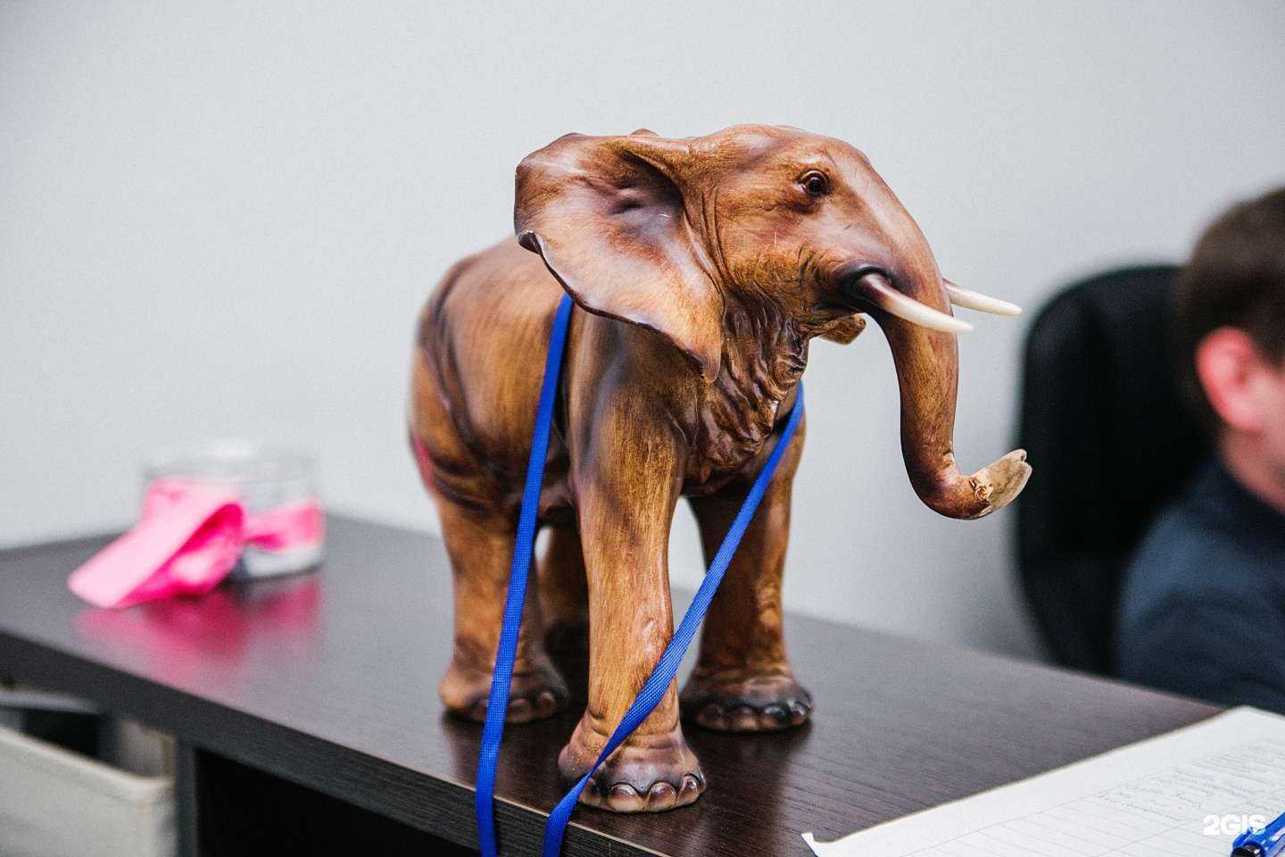 Отзывы на компанию ТоммиГан в Челябинске c фото