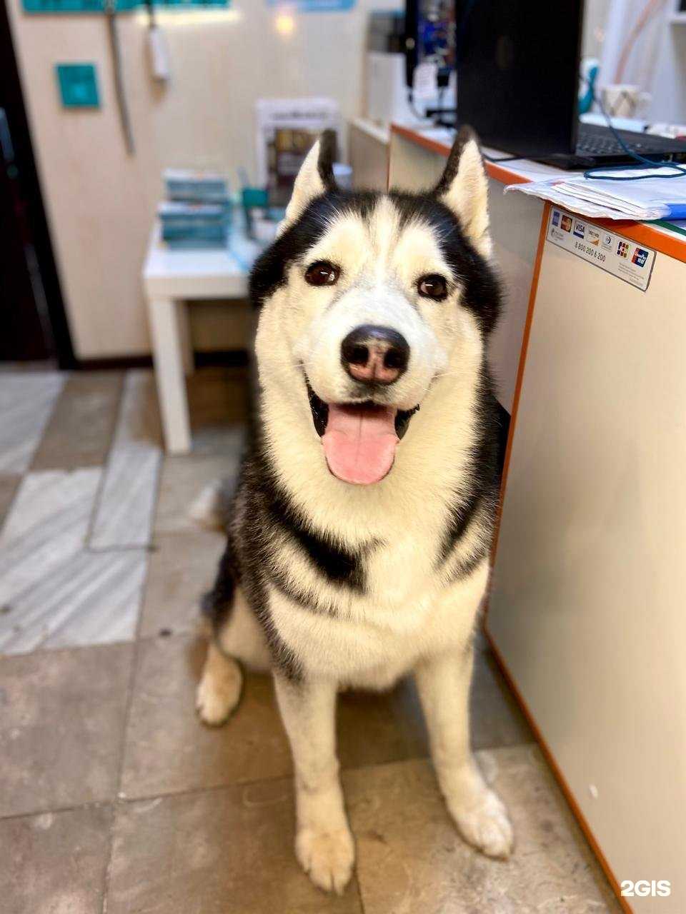 Отзывы на компанию ZooDiscount в Магнитогорске c фото