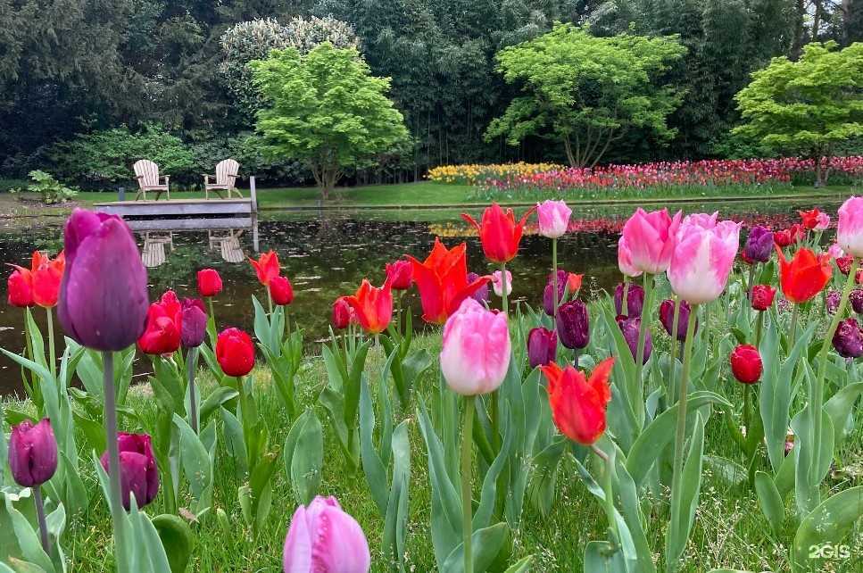 Отзывы на компанию Дез СэсТехнологии  в Барнауле c фото