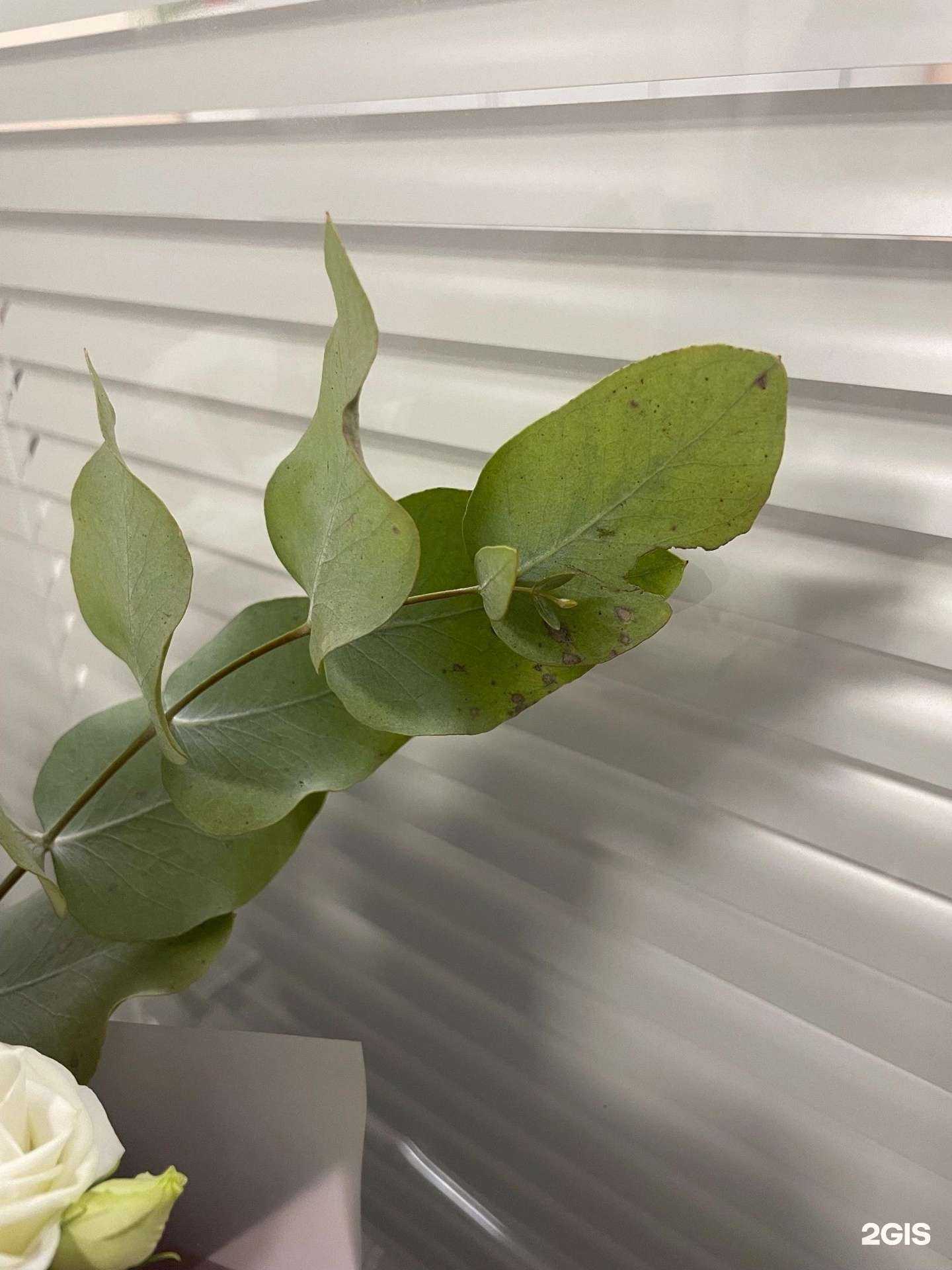 Отзывы на компанию Komilfo в г. Мурманск c фото