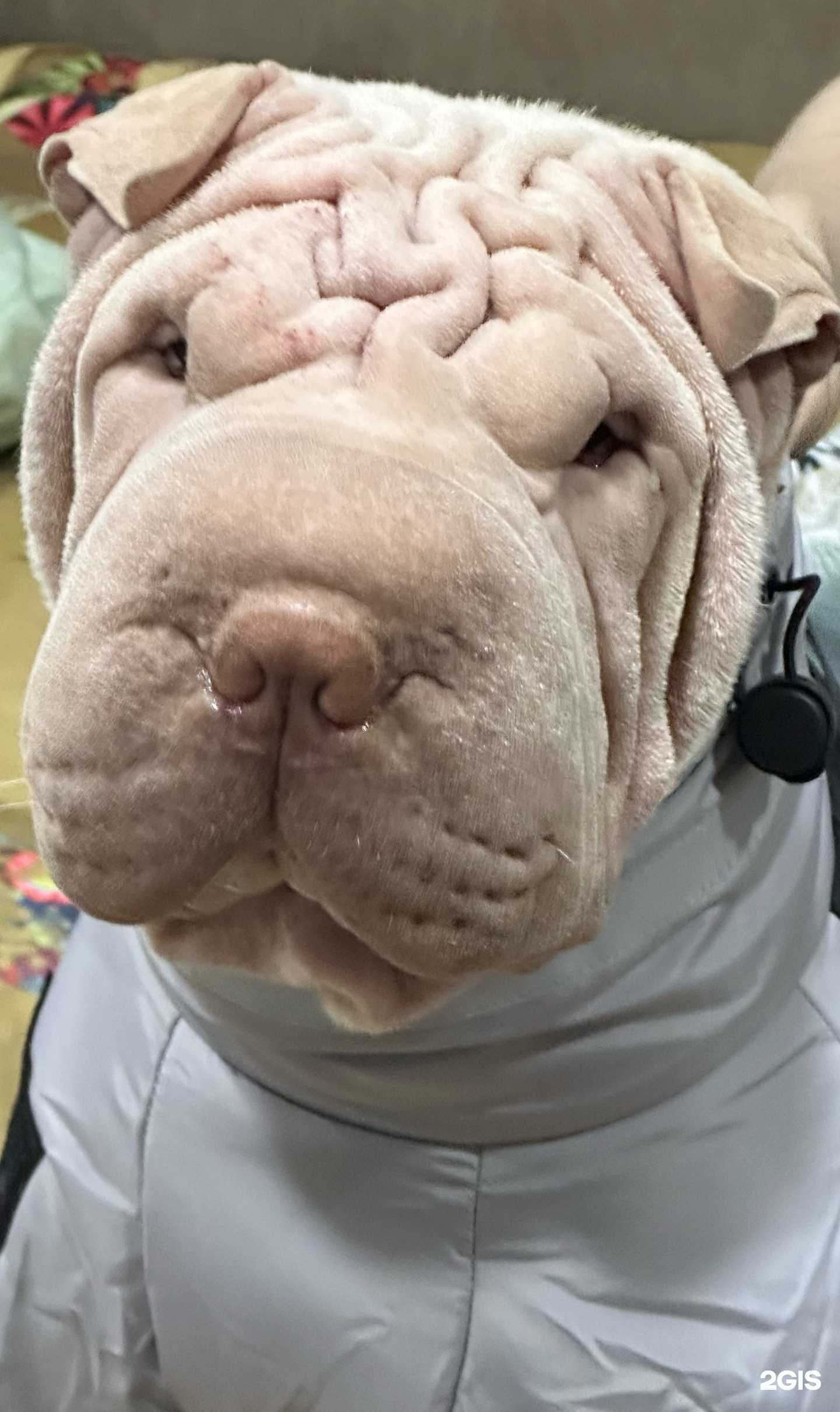 Отзывы на компанию Korm72.ru в Тюмени c фото