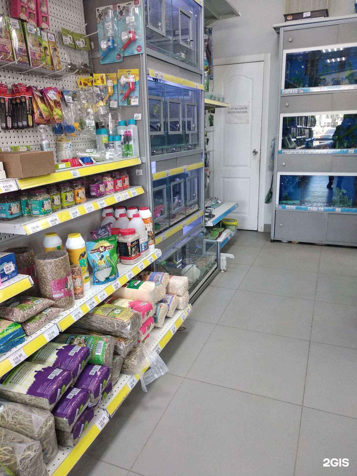 Отзывы на компанию Кеша в Смоленске c фото