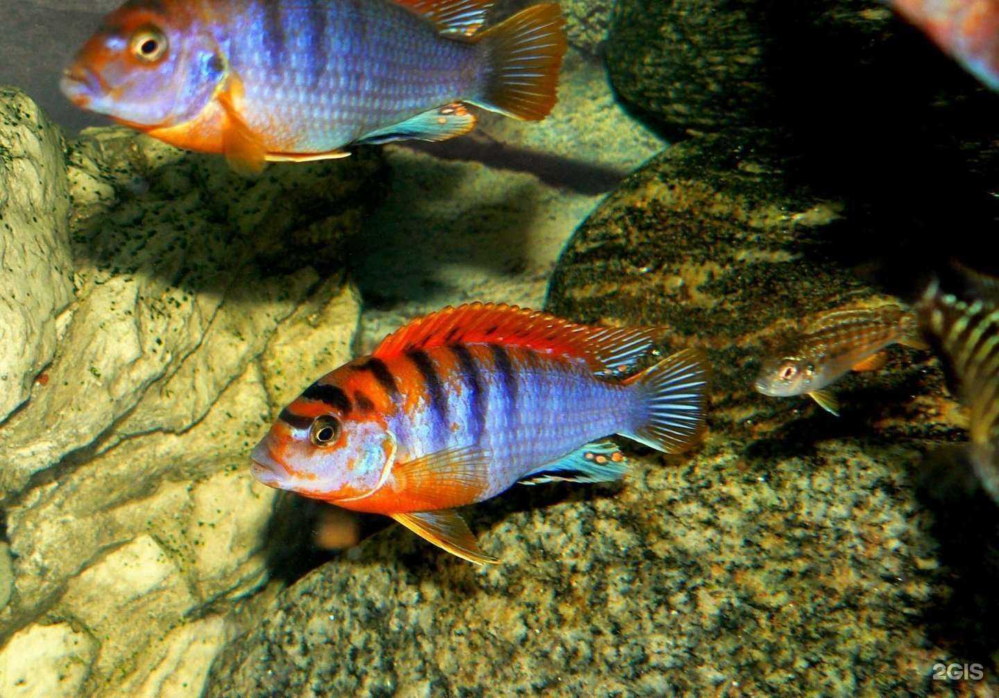 Отзывы на компанию Акватропик74 в Челябинске c фото