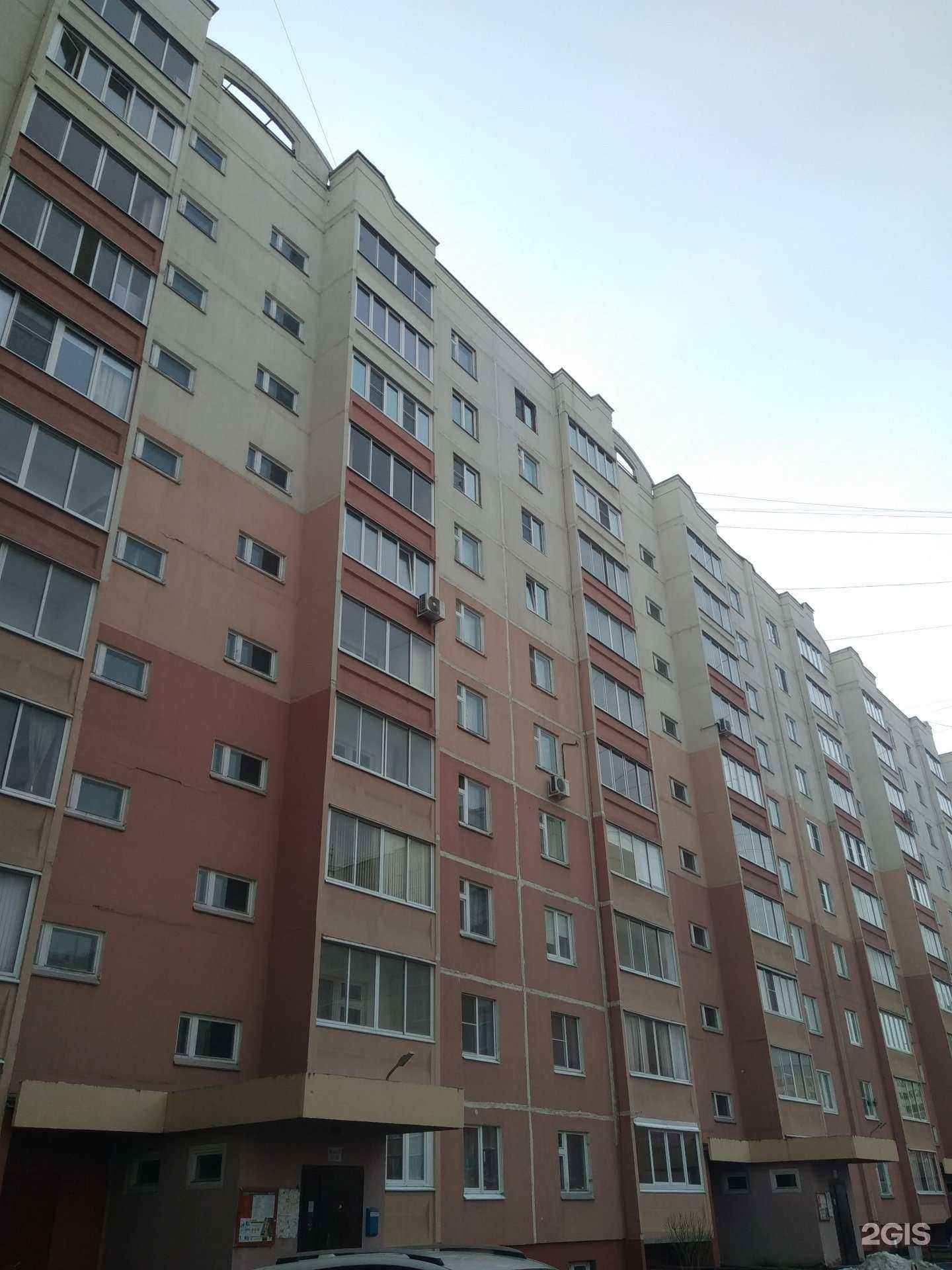 Отзывы на компанию Вальс цветов в Иванове c фото - фотография 2 из 2