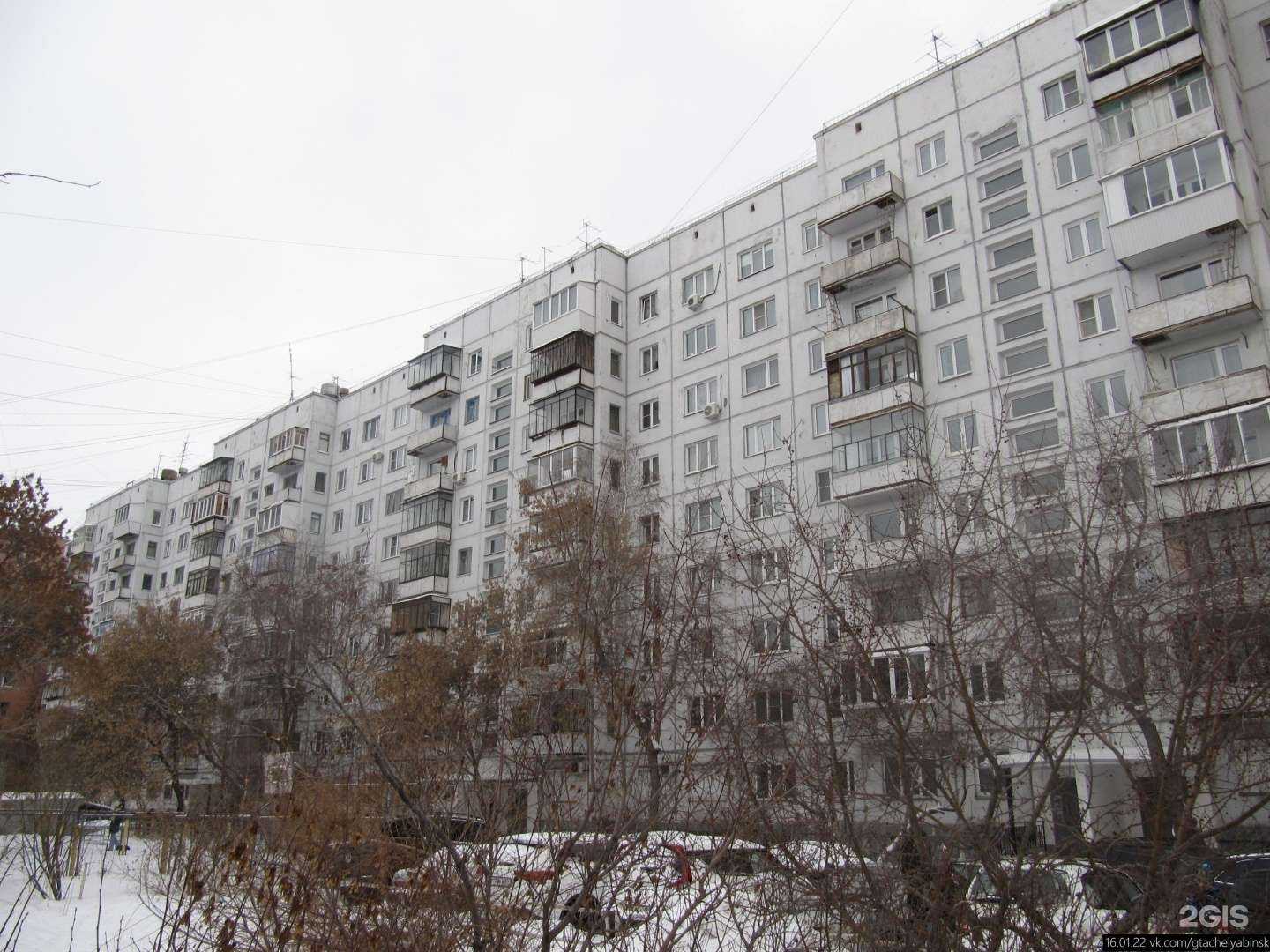 Отзывы на компанию Mr.Hamster в Челябинске c фото - фотография 2 из 2