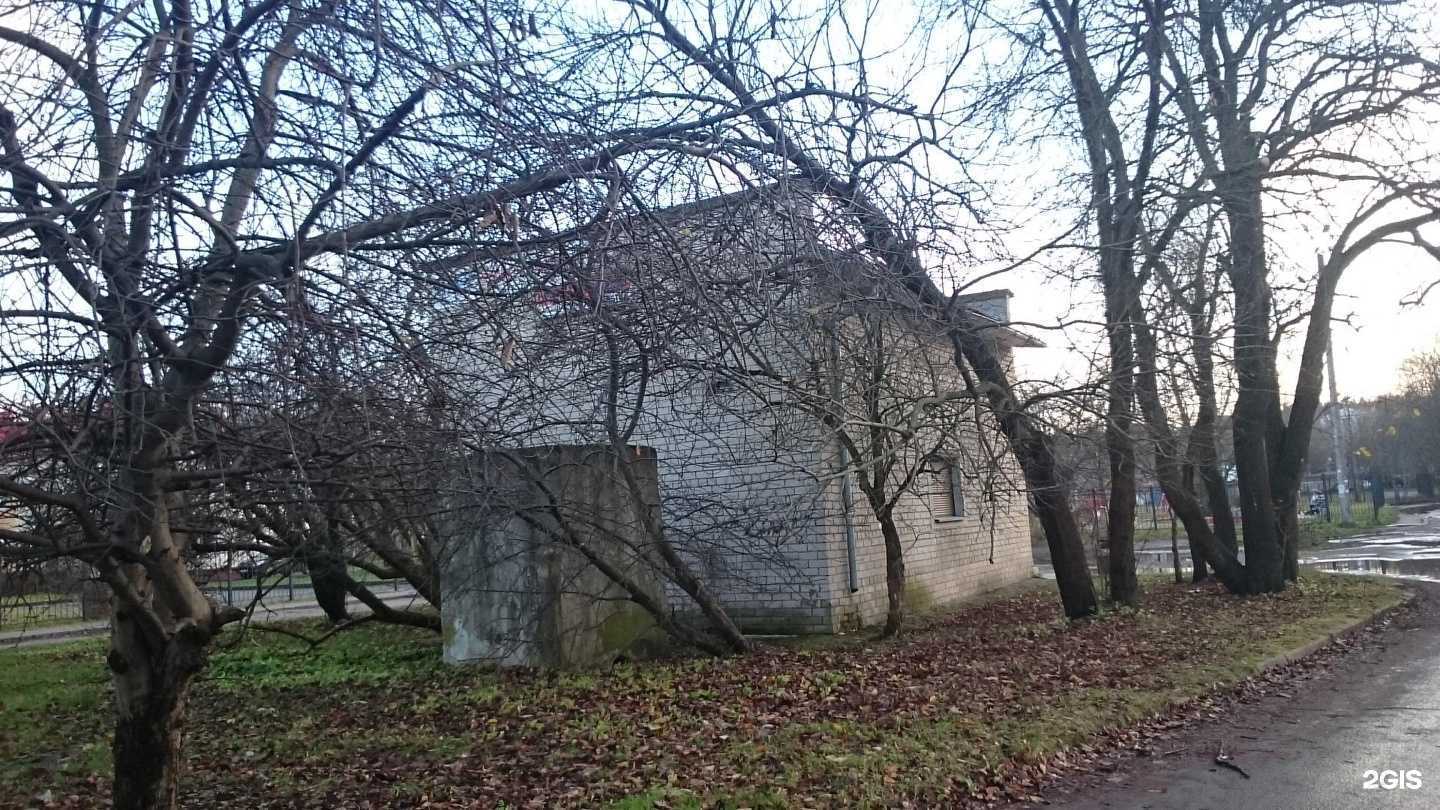 Отзывы на компанию Химчистка в Светлогорске c фото - фотография 2 из 2