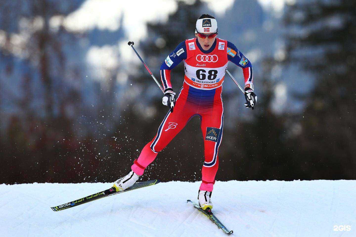 Отзывы на компанию Городской спортивно-оздоровительный центр в Орле c фото