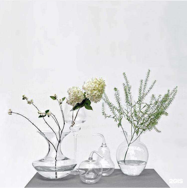 Отзывы на компанию Белая Орхидея в Омске c фото