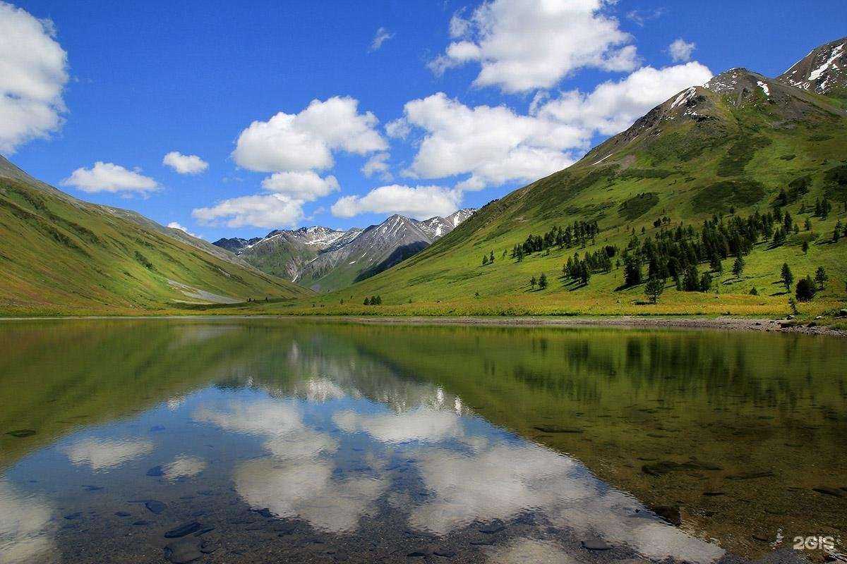 Отзывы на компанию Аудит-Профи в Барнауле c фото