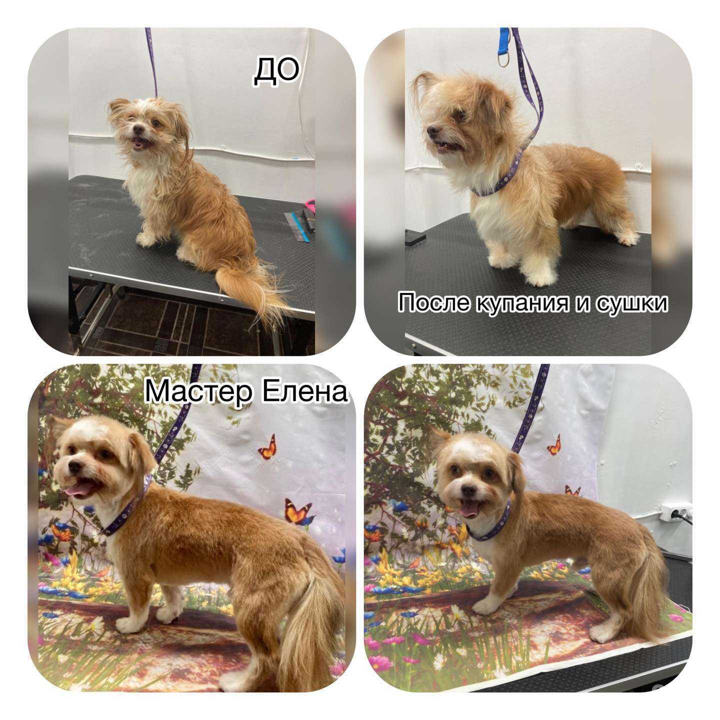 Отзывы на компанию Эверест в г. Балашиха c фото