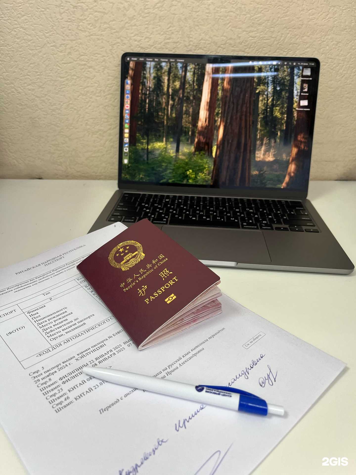 Отзывы на компанию Дива в Новосибирске c фото