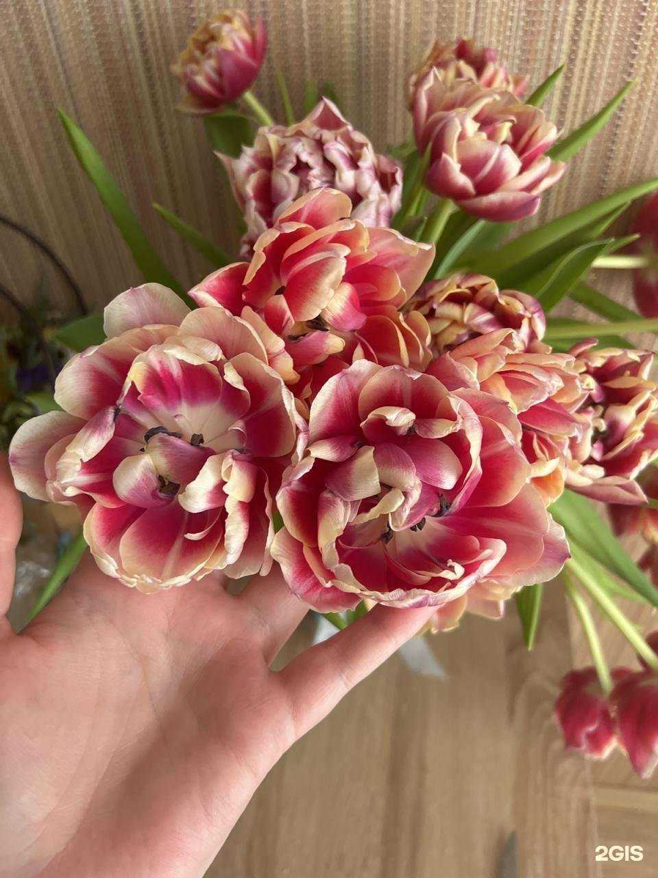Отзывы на компанию Цветочный магазин в Новосибирске c фото
