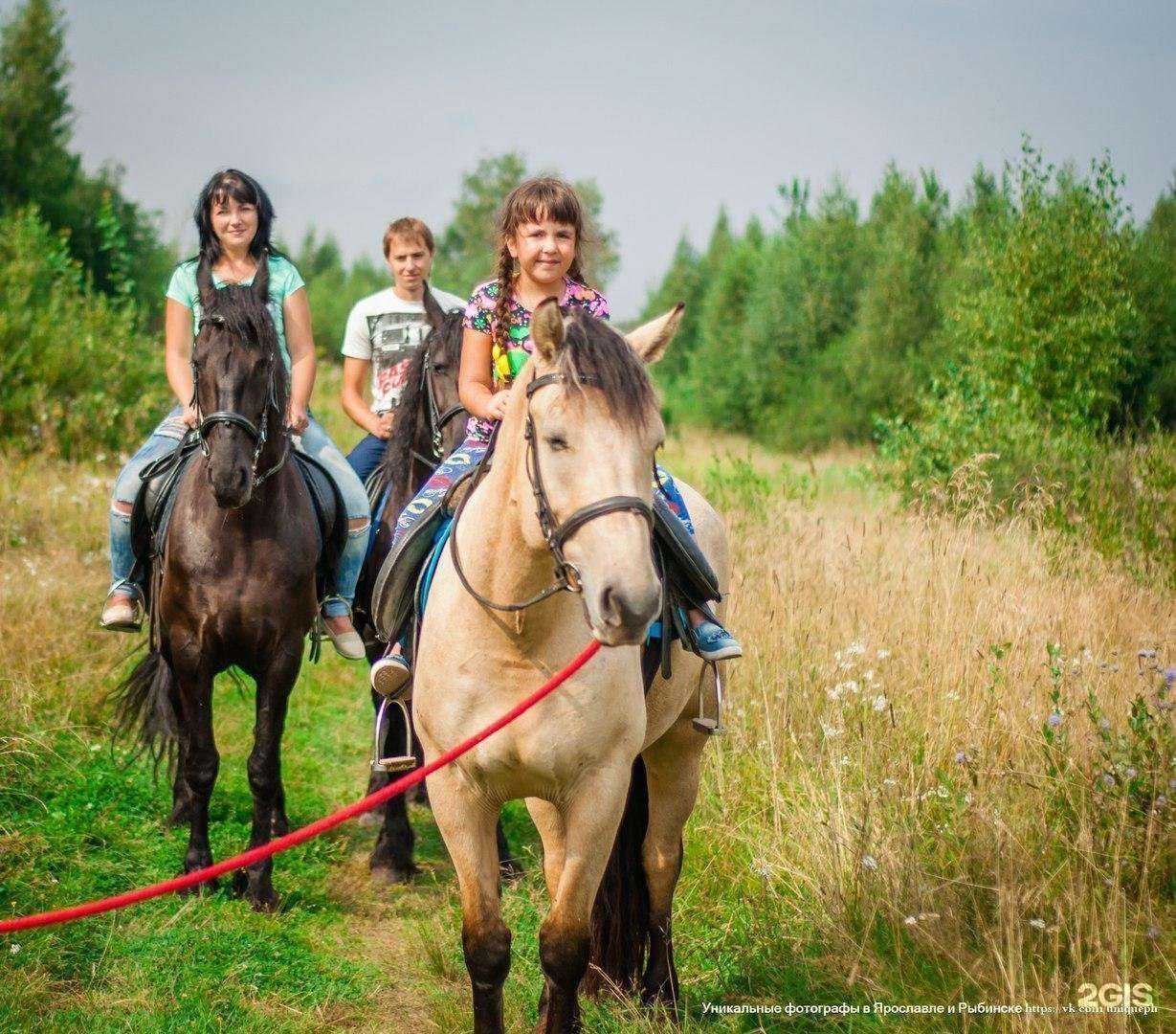 Отзывы на компанию Ямской двор в Ярославле c фото