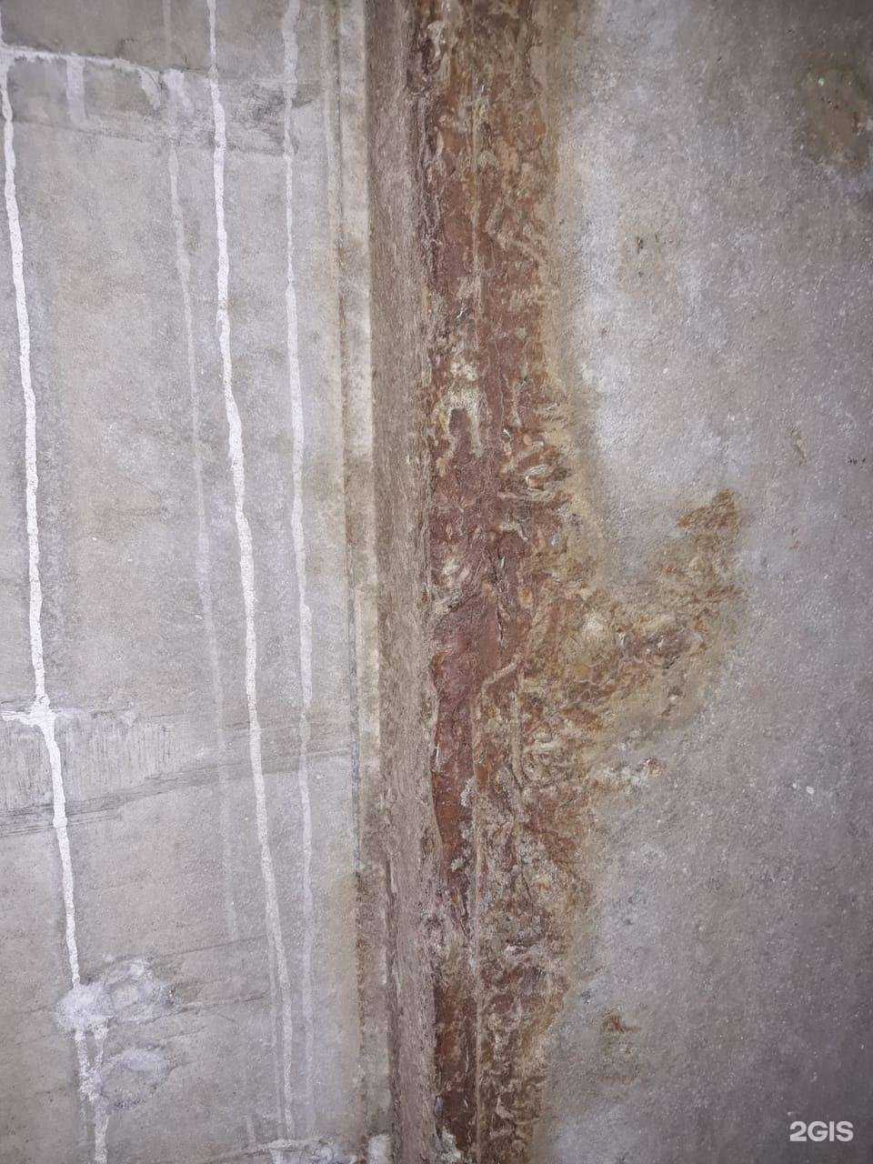 Отзывы на компанию Ростов Экспертиза в г. Ростов-на-Дону c фото