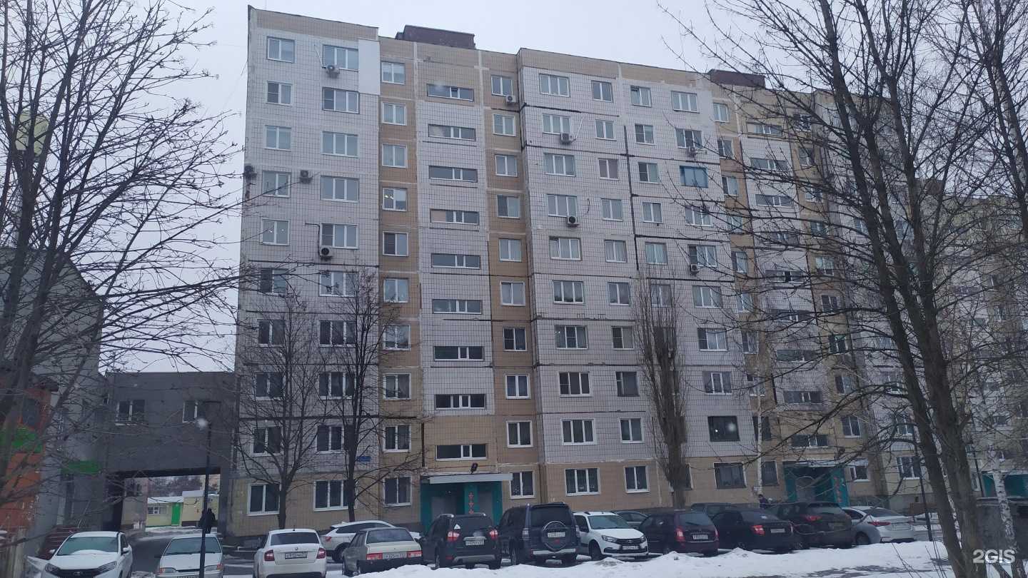 Отзывы на компанию Котофей в Старом Осколе c фото - фотография 2 из 2