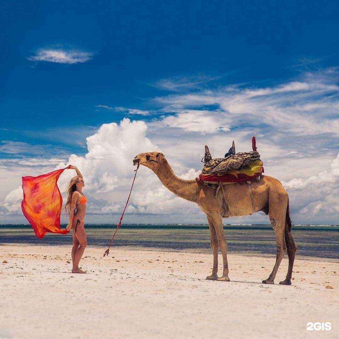 Отзывы на компанию География в г. Уфа c фото