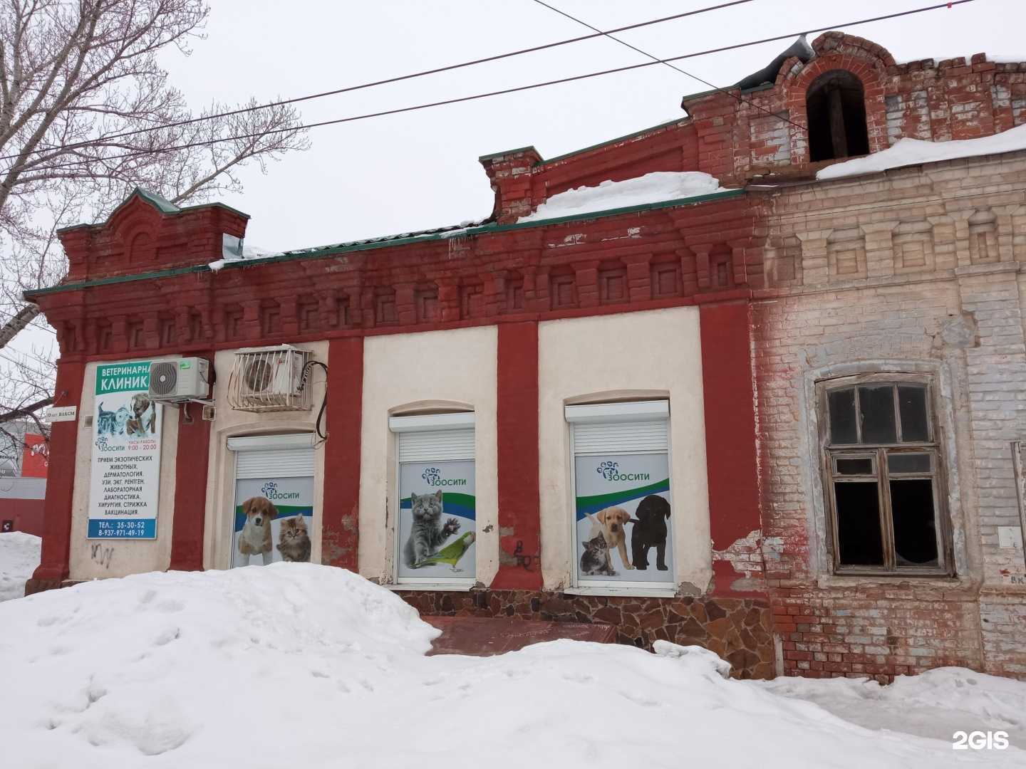 Отзывы на компанию Зоосити в Балакове c фото - фотография 2 из 2