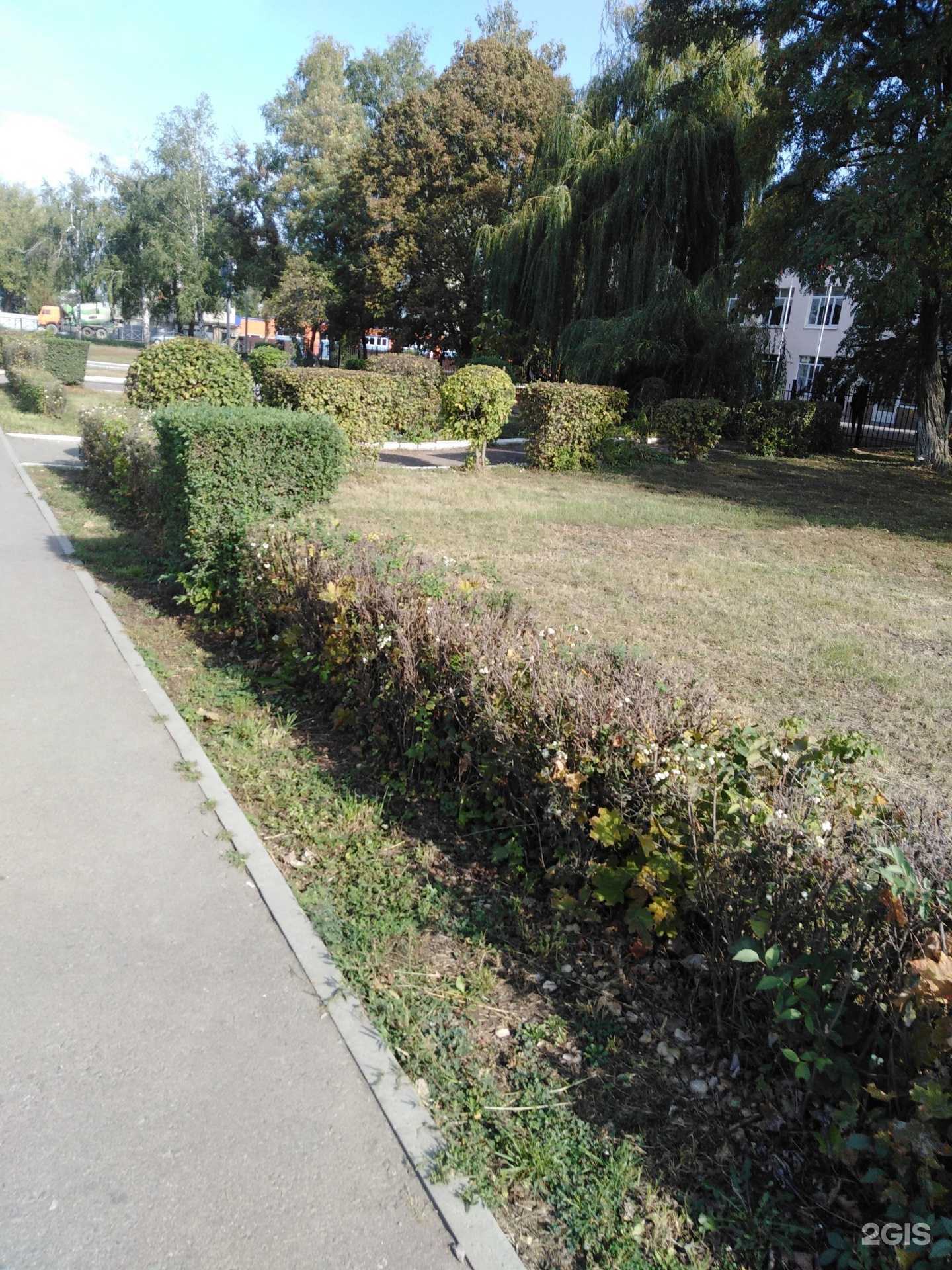 Отзывы на компанию Автошкола в г. Тамбов c фото