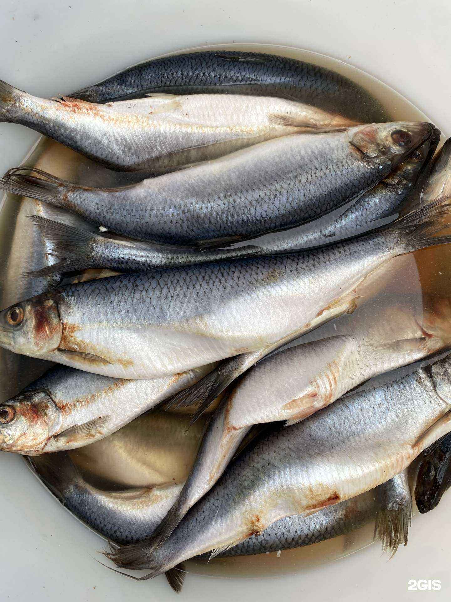 Отзывы на компанию Магазин по продаже соленой и копченой рыбы в г. Самара c фото