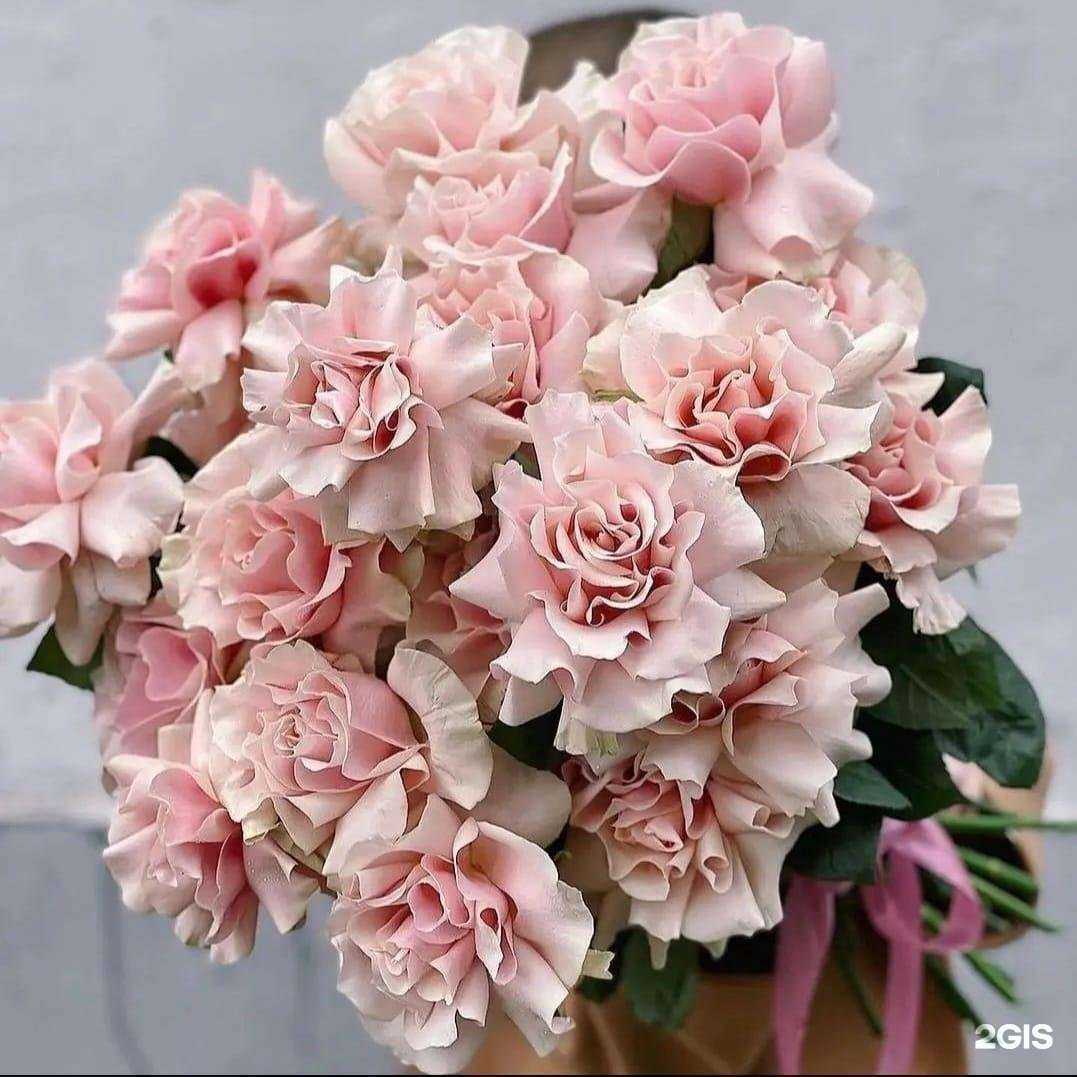 Отзывы на компанию Мак в г. Новороссийск c фото