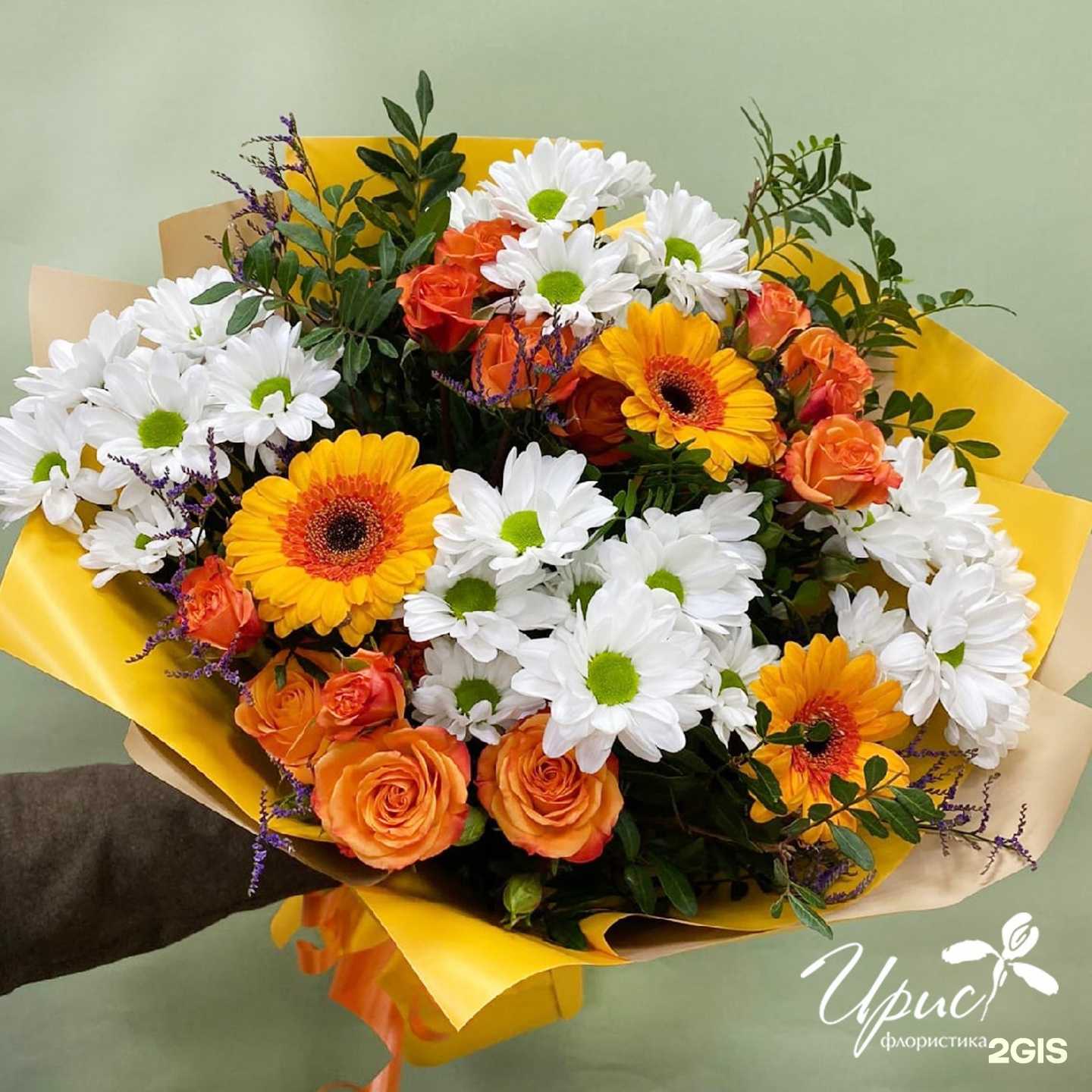 Отзывы на компанию Ирис в Смоленске c фото