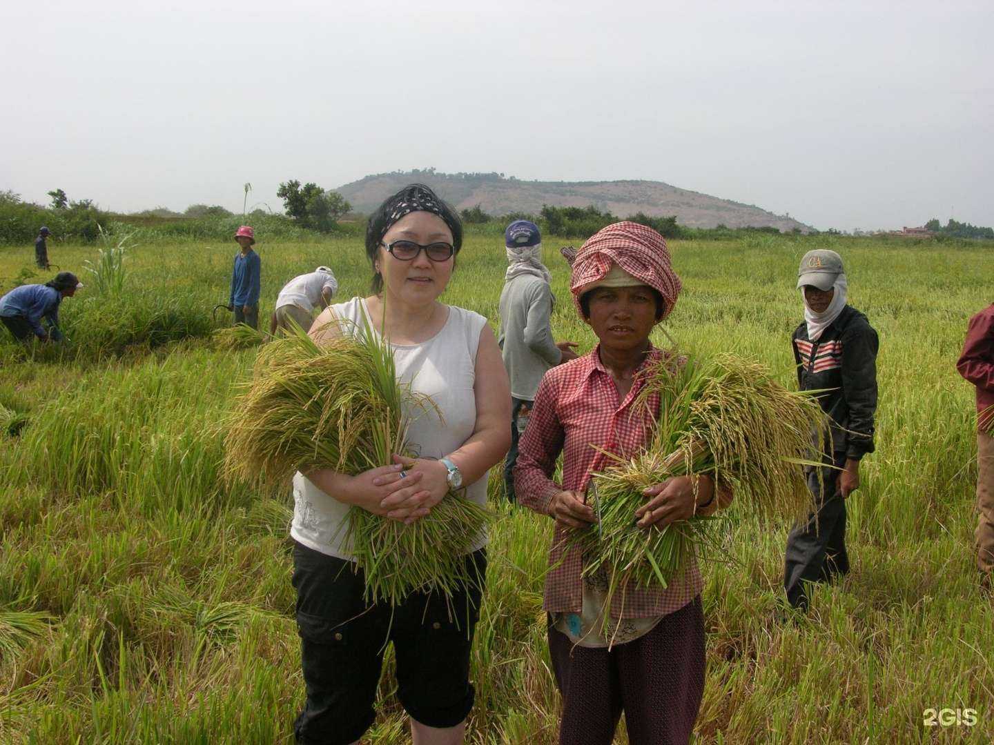 Отзывы на компанию Айва в г. Якутск c фото