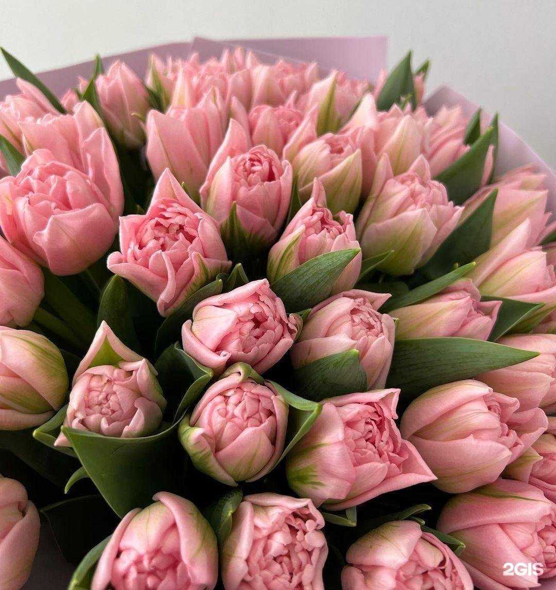 Отзывы на компанию Во имя любви в Ставрополе c фото