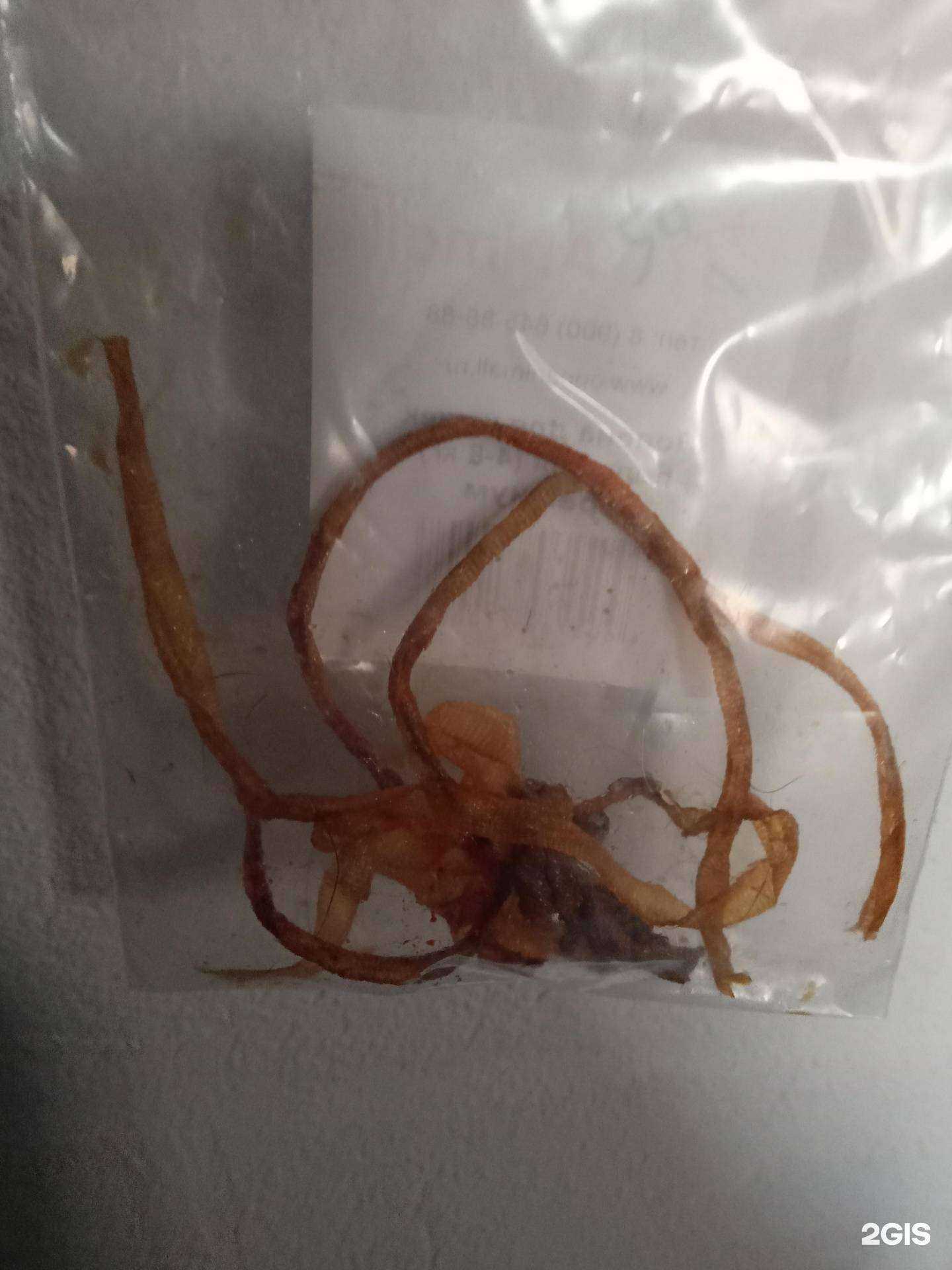 Отзывы на компанию Доктор Zoo НН в Нижнем Новгороде c фото