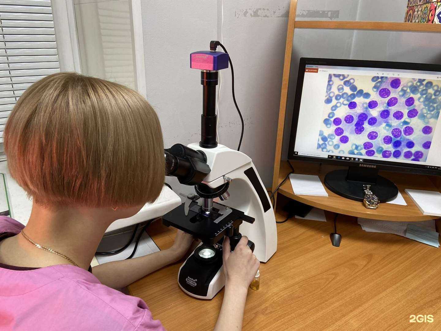 Отзывы на компанию ВетДиаКур в г. Абакан c фото