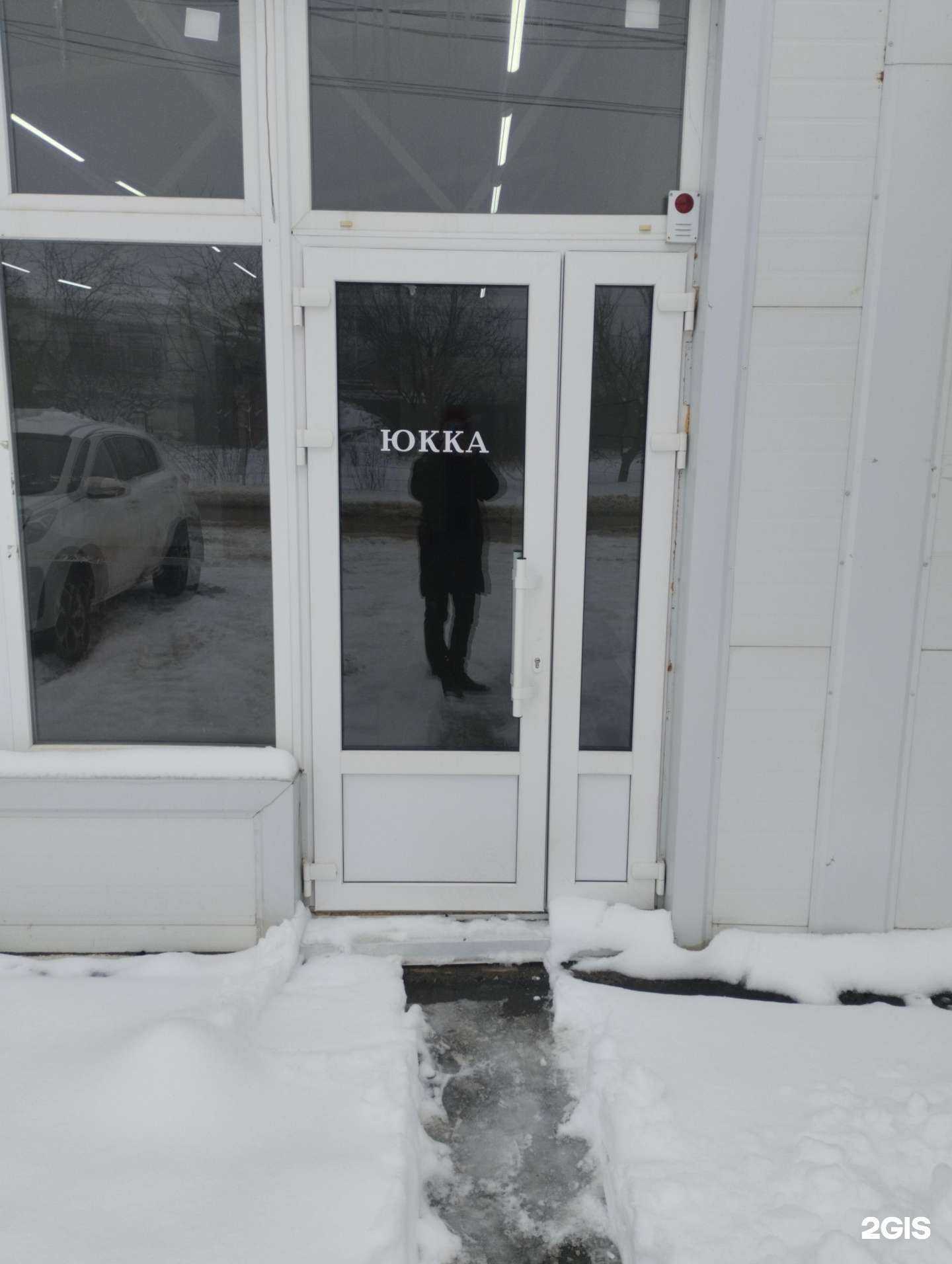 Отзывы на компанию Юкка в Волгограде c фото