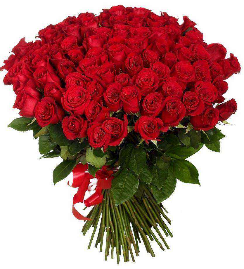 Отзывы на компанию Красрозы в Красноярске c фото