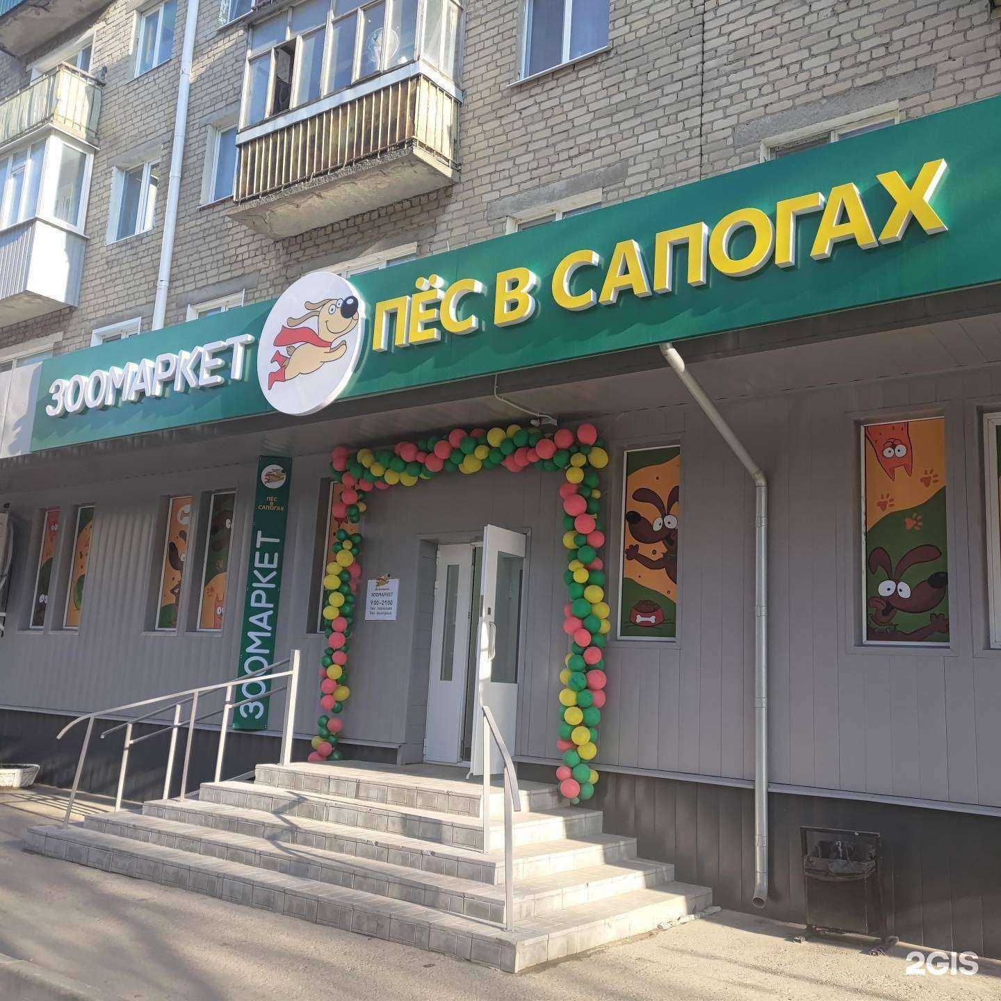 Отзывы на компанию Пёс в сапогах в г. Пенза c фото