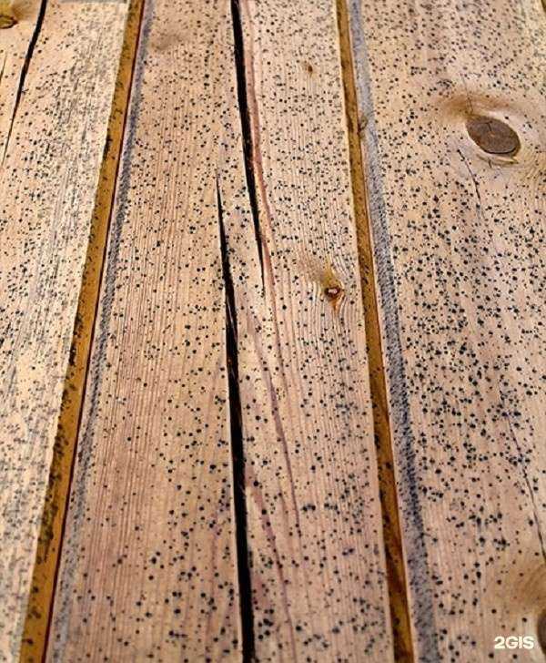 Отзывы на компанию Лесторгмаркет в Коммунарке c фото