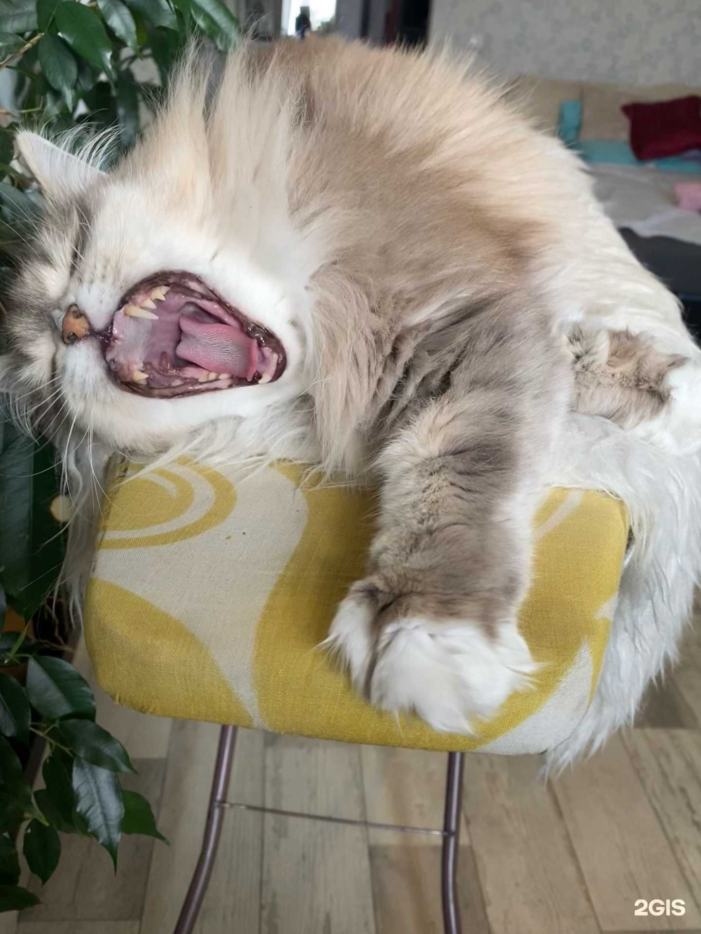 Отзывы на компанию Интерра в Красноярске c фото