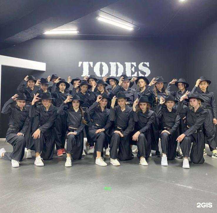 Отзывы на компанию Todes в Долгопрудном c фото