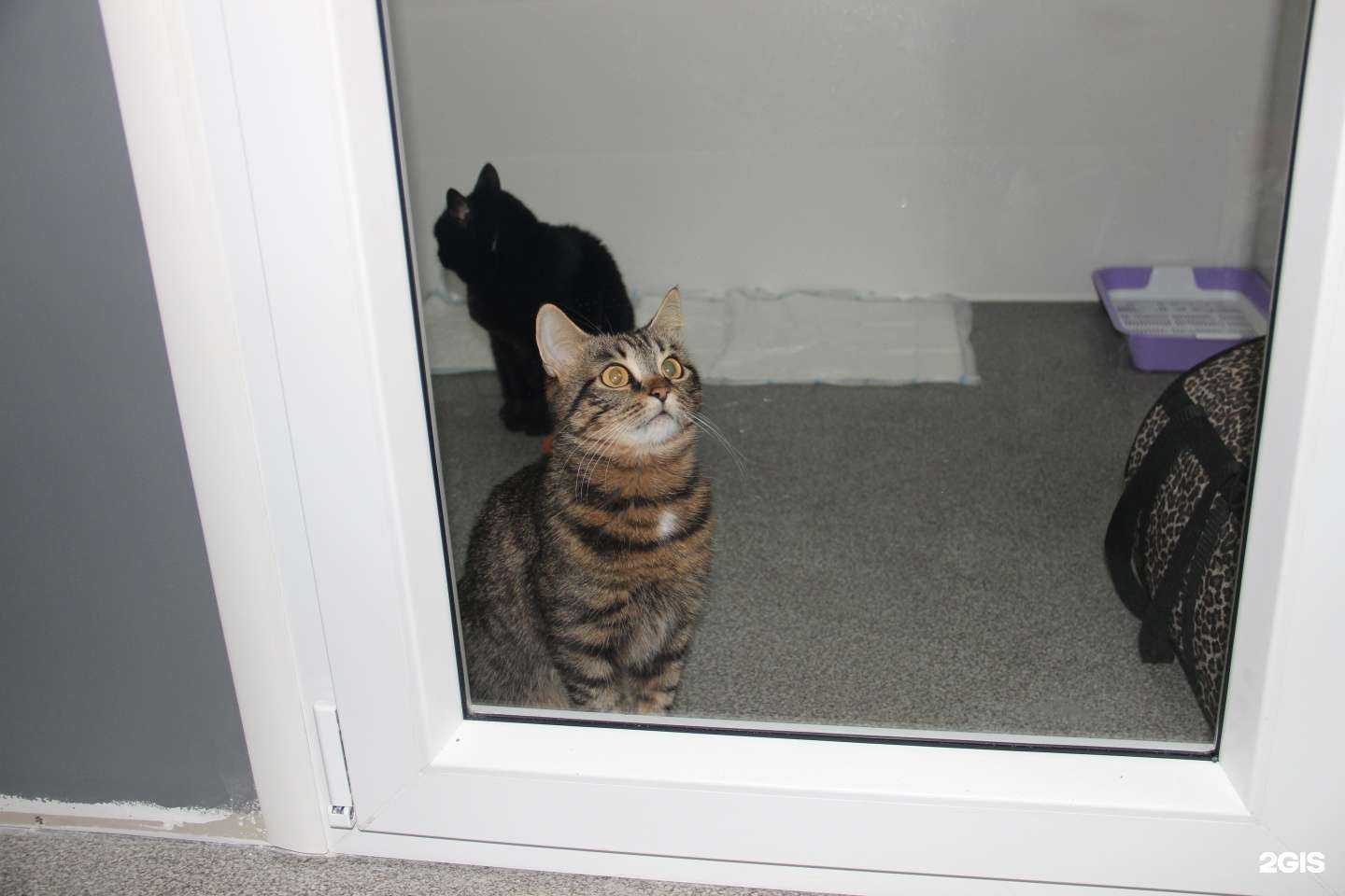 Отзывы на компанию Zoki Hotel в г. Киров c фото