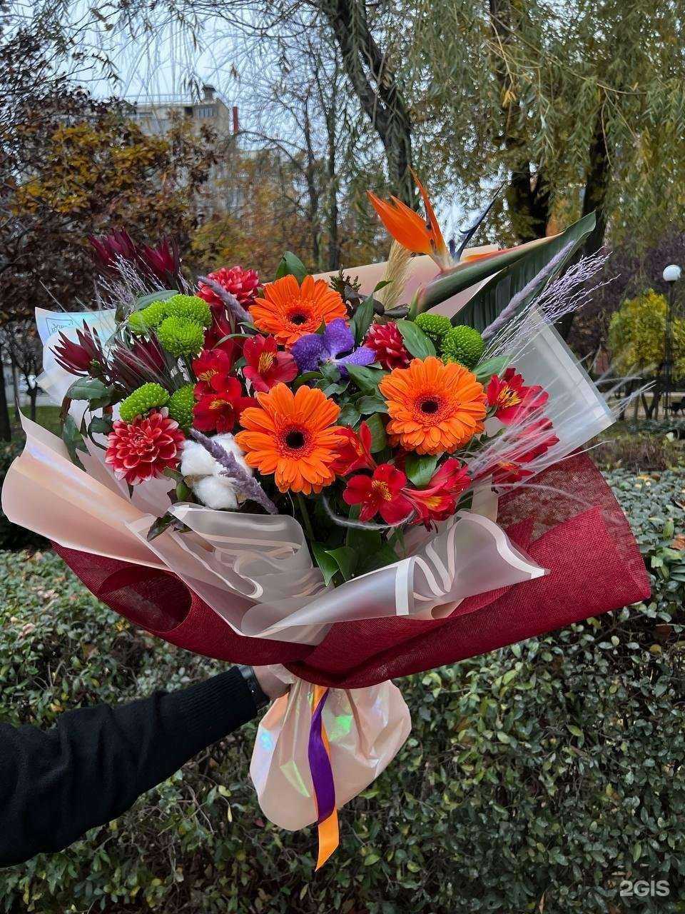 Отзывы на компанию ViraRose в Ростове-на-Дону c фото