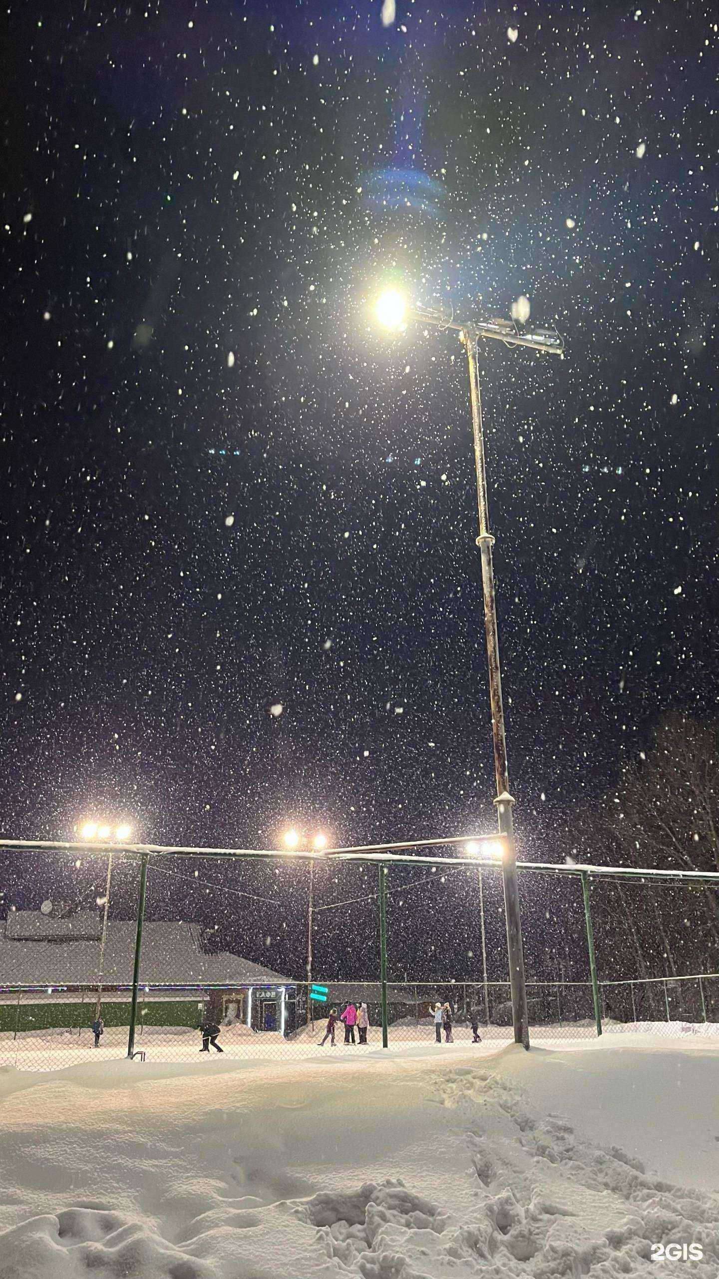 Отзывы на компанию Локомотив в Новосибирске c фото