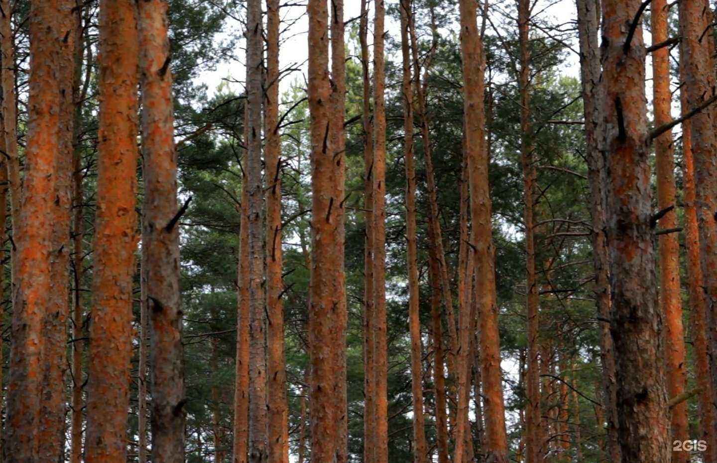 Отзывы на компанию Областной комплексный реабилитационный центр в г. Владимир c фото