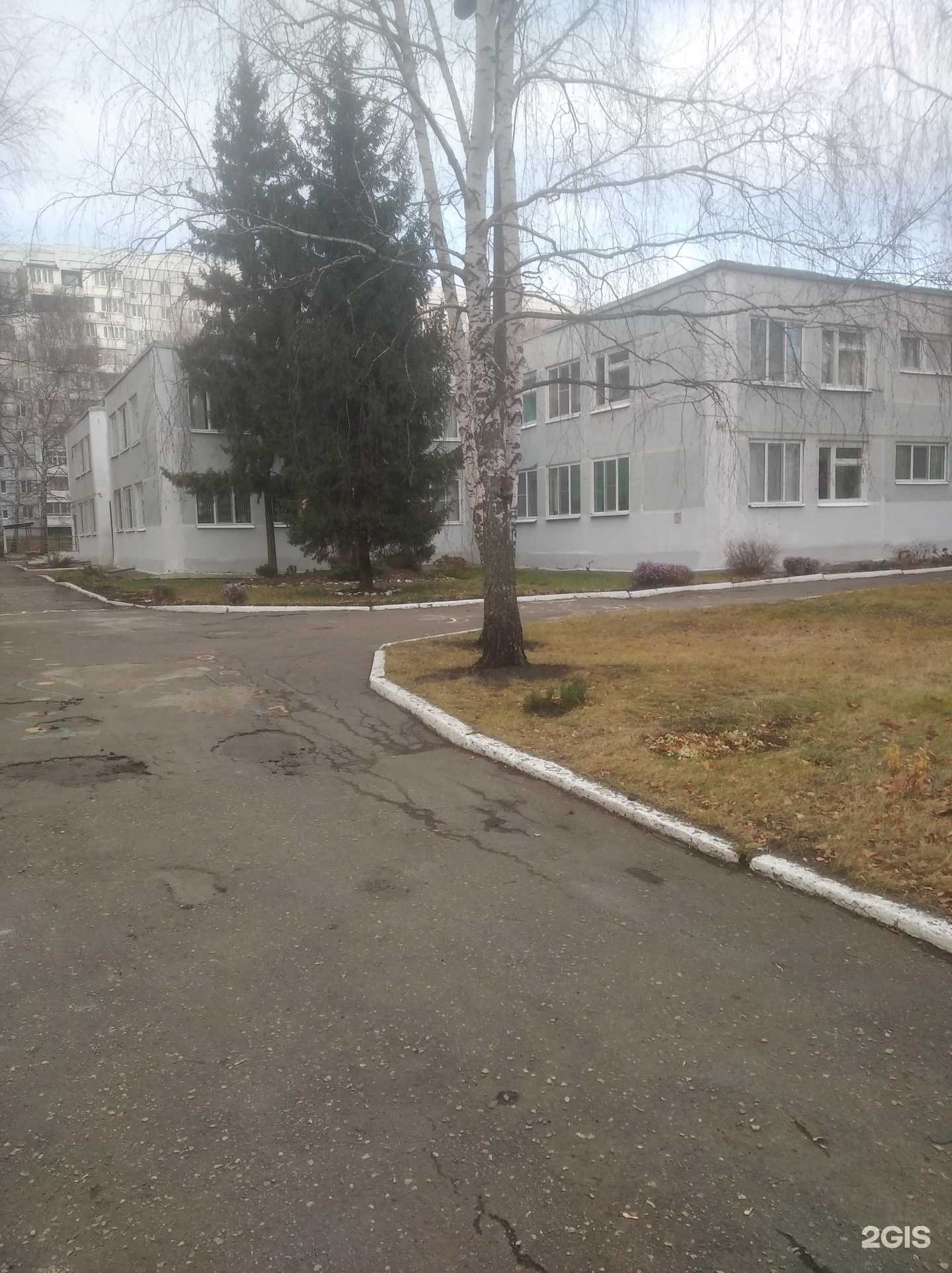 Отзывы на компанию Березка в Пензе c фото