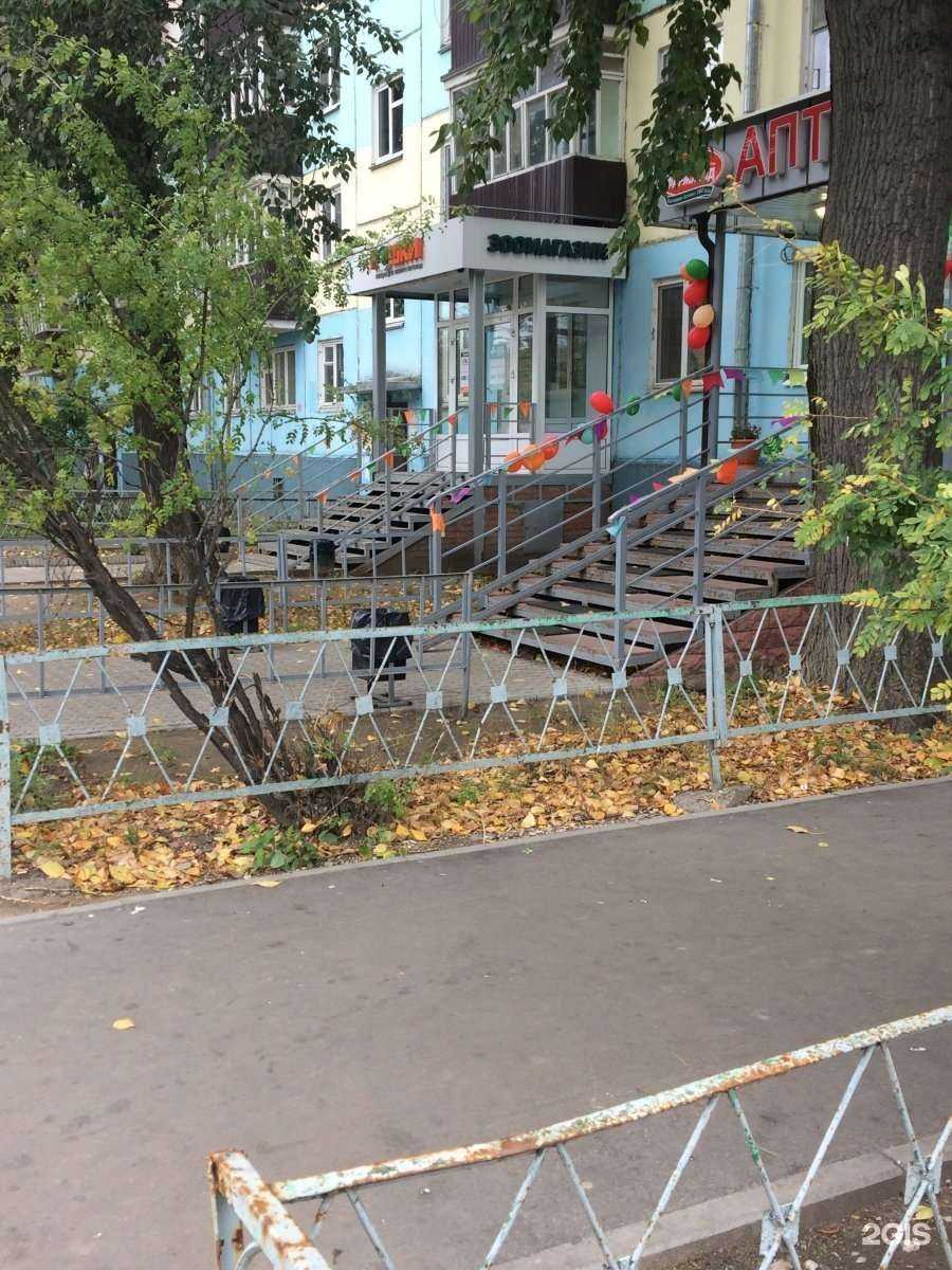 Отзывы на компанию Кошки в Казани c фото