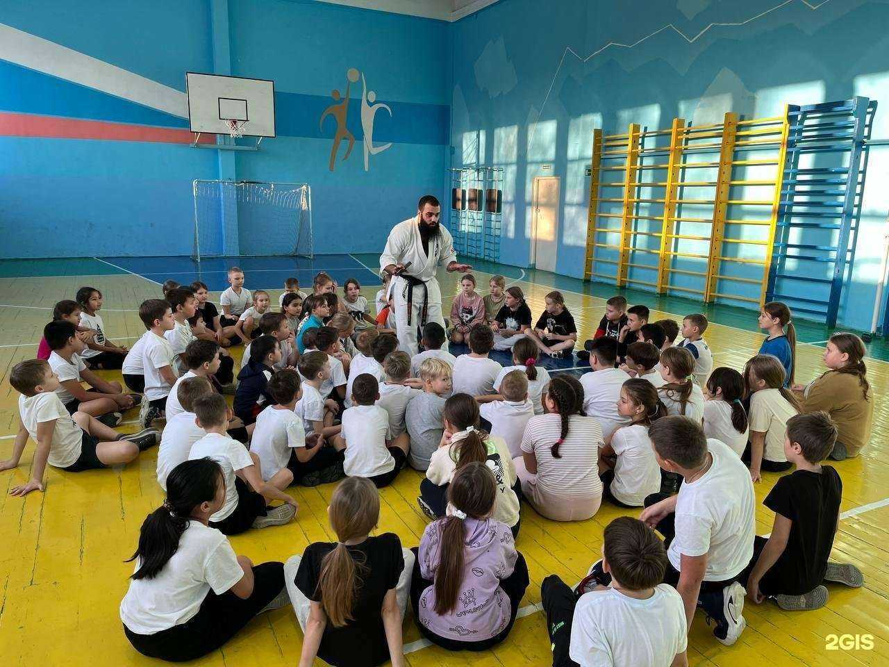 Отзывы на компанию Senshi в Красноярске c фото