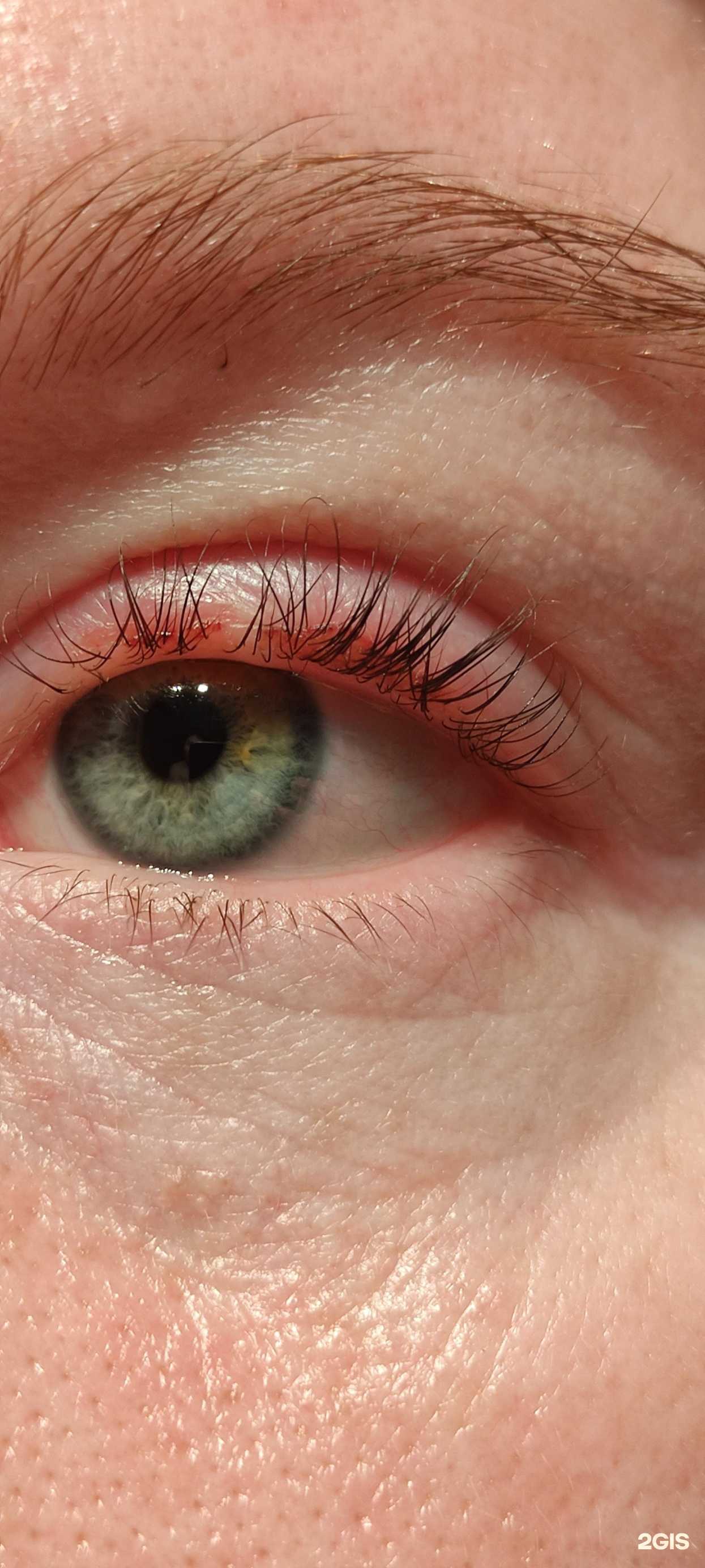 Отзывы на компанию L.A_studio в Новосибирске c фото