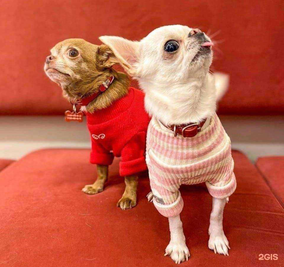 Отзывы на компанию Vetman в Ижевске c фото